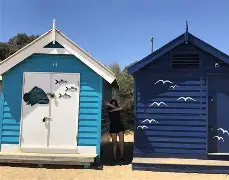 好博体育-今夜布莱顿造点机会——社区盾节点到来，态度坚定，赛程密集仍需轮换